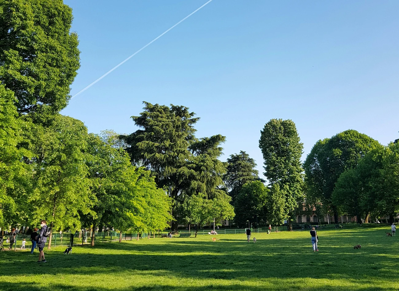 公園模擬情境